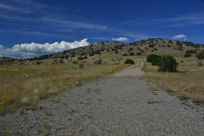 Bonanza Creek Road